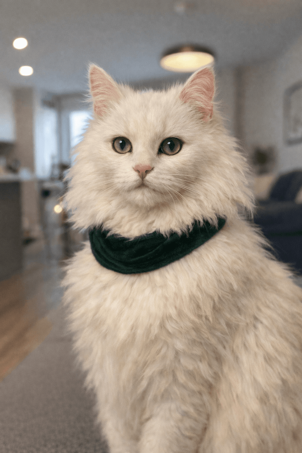 Classic Oil original pet photo